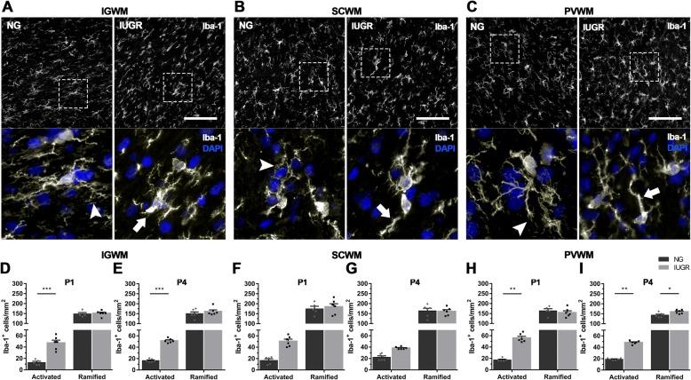 https://cdn.ncbi.nlm.nih.gov/pmc/blobs/61ed/6323795/3cc792ff1691/12974_2018_1392_Fig4_HTML.jpg