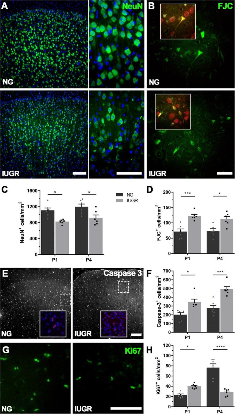 https://cdn.ncbi.nlm.nih.gov/pmc/blobs/61ed/6323795/efbc2707e53e/12974_2018_1392_Fig1_HTML.jpg