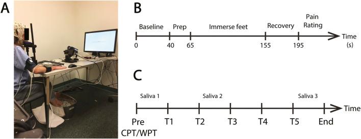 https://cdn.ncbi.nlm.nih.gov/pmc/blobs/61ed/9871365/d798106e968f/fphys-13-752900-g001.jpg