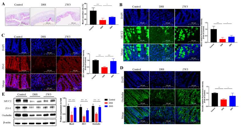 https://cdn.ncbi.nlm.nih.gov/pmc/blobs/61f0/10778761/1dc456c6f620/ijms-25-00561-g003.jpg