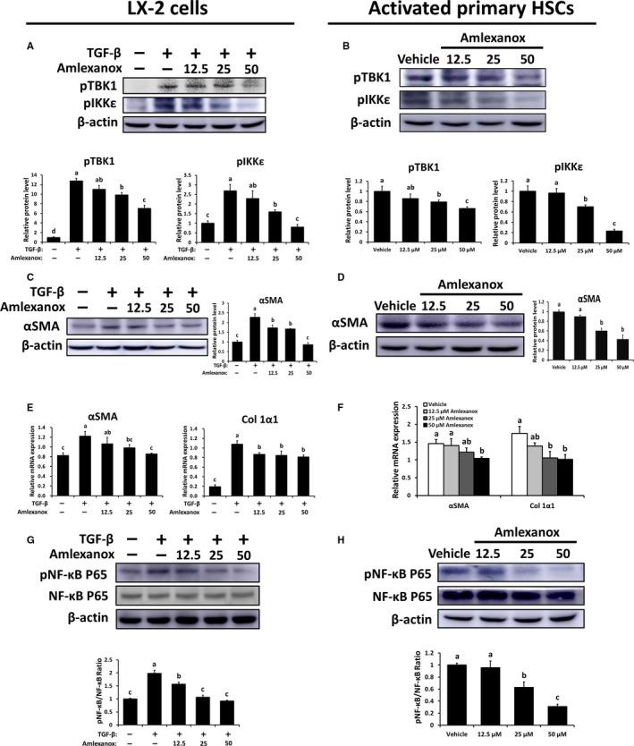 https://cdn.ncbi.nlm.nih.gov/pmc/blobs/61f1/6991653/36cb942d8c07/JCMM-24-1383-g006.jpg