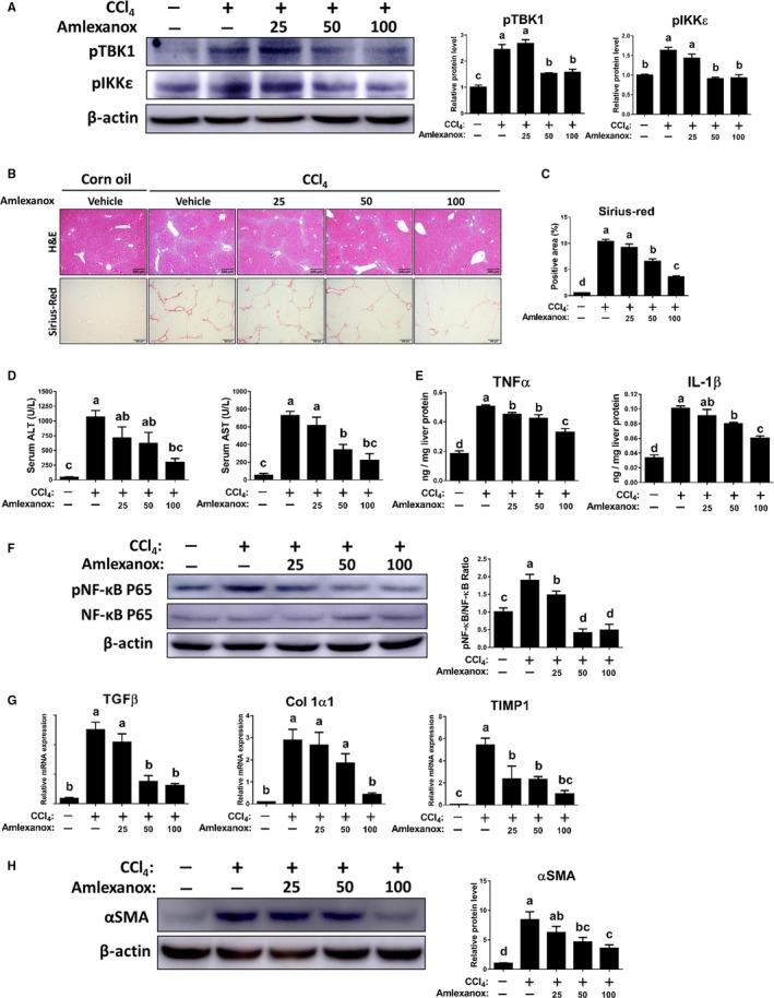 https://cdn.ncbi.nlm.nih.gov/pmc/blobs/61f1/6991653/3b08ec34d832/JCMM-24-1383-g003.jpg