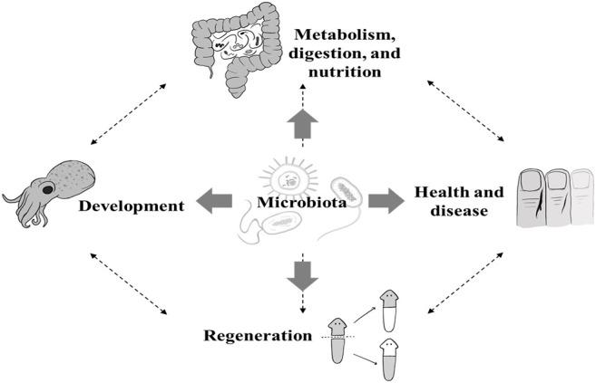 https://cdn.ncbi.nlm.nih.gov/pmc/blobs/61f3/8826689/5fcb68ba8cd6/fcell-09-768783-g001.jpg