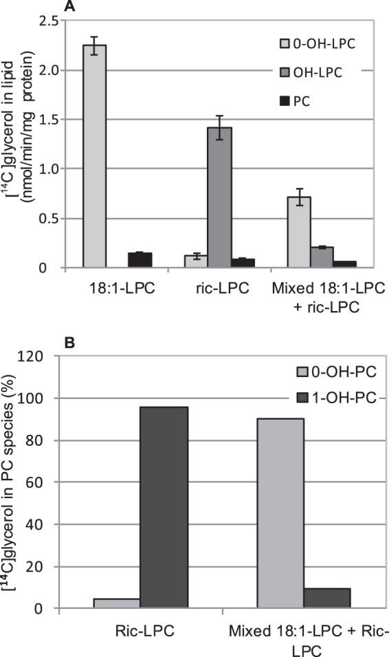 https://cdn.ncbi.nlm.nih.gov/pmc/blobs/61f4/5122774/69ea58cdddb6/zbc0511656850012.jpg