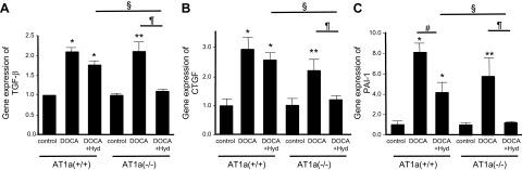 https://cdn.ncbi.nlm.nih.gov/pmc/blobs/61f4/5161521/d8bce5104365/fasebj201600684RRf8.jpg
