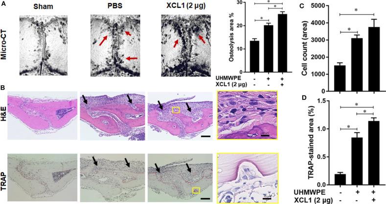 https://cdn.ncbi.nlm.nih.gov/pmc/blobs/61f5/7417302/86af92199722/fimmu-11-01720-g0002.jpg