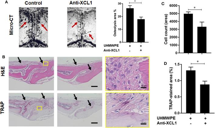 https://cdn.ncbi.nlm.nih.gov/pmc/blobs/61f5/7417302/c98a6eff404d/fimmu-11-01720-g0003.jpg