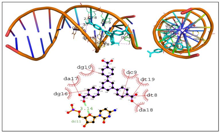 https://cdn.ncbi.nlm.nih.gov/pmc/blobs/61f7/10136799/8a7d2b554eaf/cells-12-01120-g009.jpg