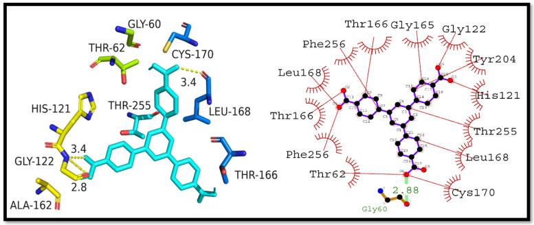https://cdn.ncbi.nlm.nih.gov/pmc/blobs/61f7/10136799/cde26c3b052a/cells-12-01120-g006.jpg
