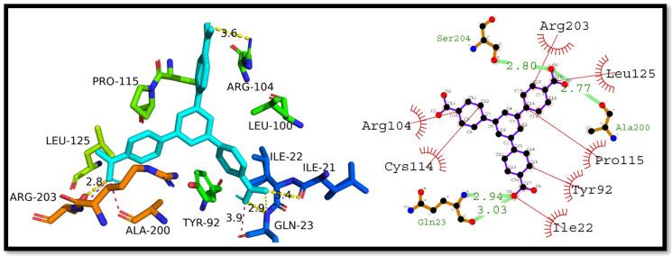 https://cdn.ncbi.nlm.nih.gov/pmc/blobs/61f7/10136799/ef4151b31afd/cells-12-01120-g008.jpg