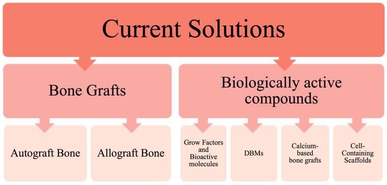 https://cdn.ncbi.nlm.nih.gov/pmc/blobs/61f9/11641768/b63e12ebd7ef/ijms-25-12766-g002.jpg