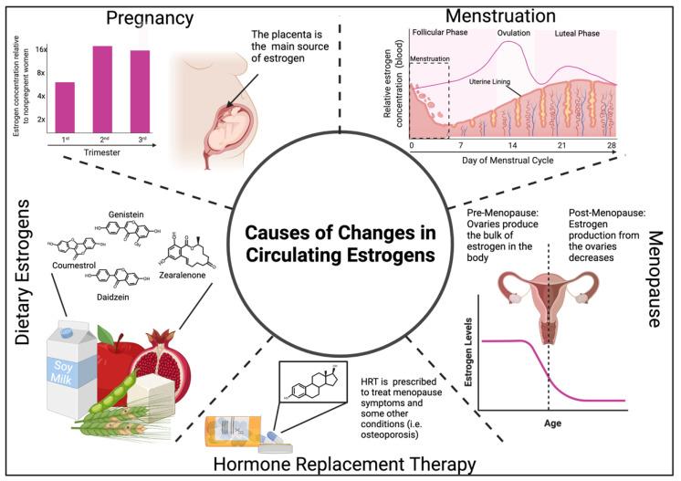 https://cdn.ncbi.nlm.nih.gov/pmc/blobs/61fe/8870346/a2af167064a1/cancers-14-00909-g002.jpg