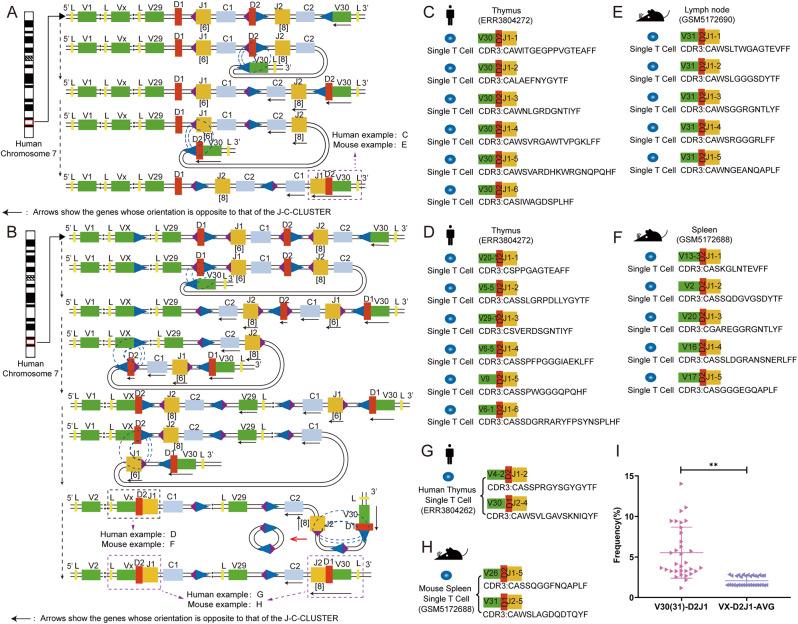 https://cdn.ncbi.nlm.nih.gov/pmc/blobs/61ff/11971796/03bb817e8622/12864_2025_11506_Fig3_HTML.jpg
