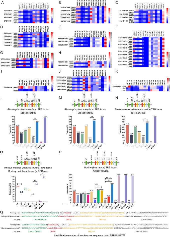 https://cdn.ncbi.nlm.nih.gov/pmc/blobs/61ff/11971796/51083c907c19/12864_2025_11506_Fig2_HTML.jpg