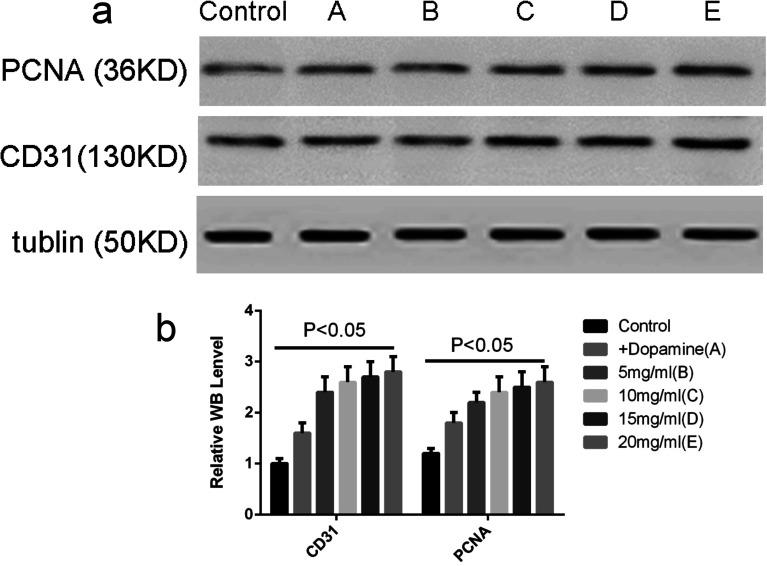 https://cdn.ncbi.nlm.nih.gov/pmc/blobs/6200/9079789/14e77f2508bc/c8ra02629g-f9.jpg