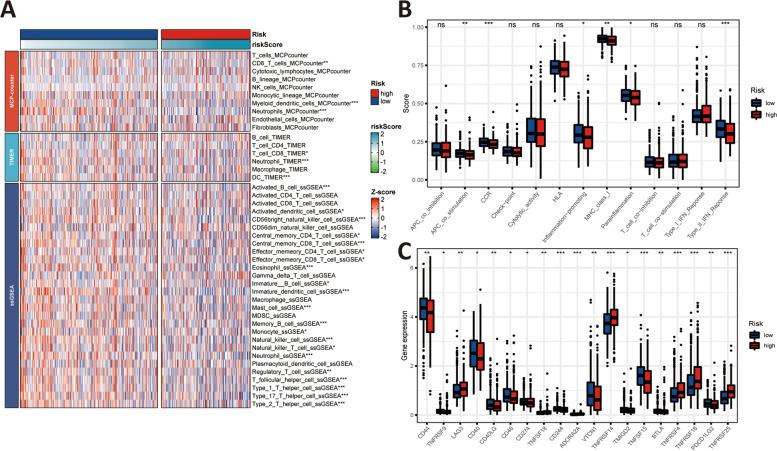 https://cdn.ncbi.nlm.nih.gov/pmc/blobs/6204/9887873/1fcbc28ee561/12885_2023_10584_Fig9_HTML.jpg