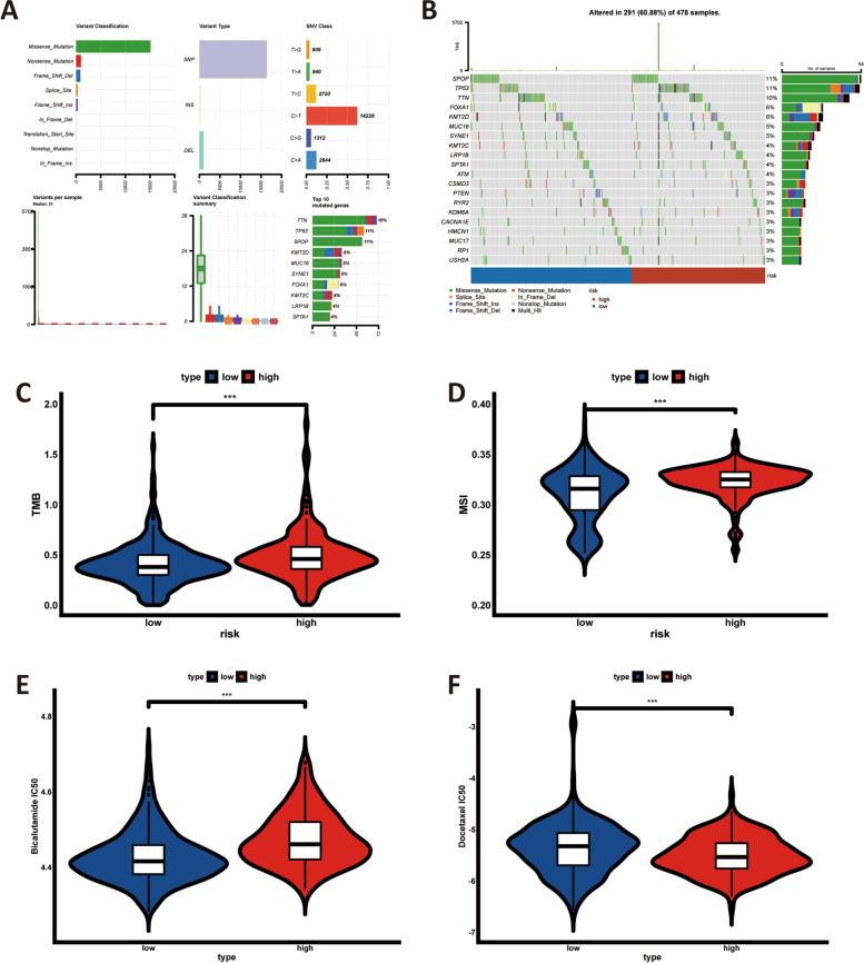 https://cdn.ncbi.nlm.nih.gov/pmc/blobs/6204/9887873/7c4ecfe4ac4c/12885_2023_10584_Fig10_HTML.jpg