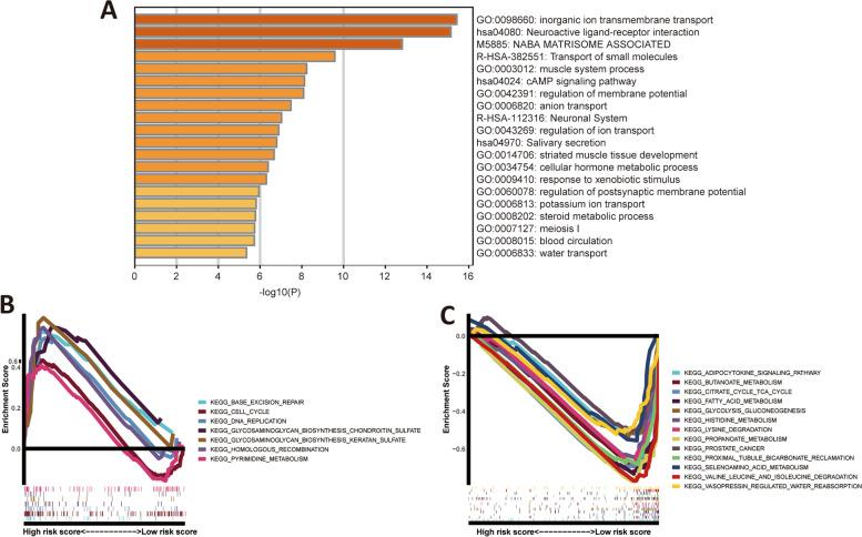 https://cdn.ncbi.nlm.nih.gov/pmc/blobs/6204/9887873/e06edeacd56c/12885_2023_10584_Fig8_HTML.jpg