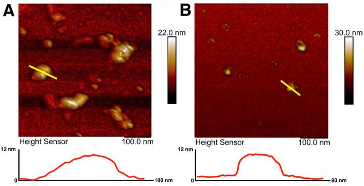 https://cdn.ncbi.nlm.nih.gov/pmc/blobs/6205/8779295/7769dc1db8db/polymers-14-00344-g001.jpg