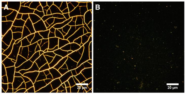 https://cdn.ncbi.nlm.nih.gov/pmc/blobs/6205/8779295/8f1ae4c2a4d5/polymers-14-00344-g004.jpg