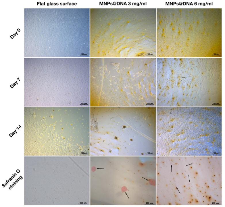 https://cdn.ncbi.nlm.nih.gov/pmc/blobs/6205/8779295/91d7d1192a97/polymers-14-00344-g007.jpg