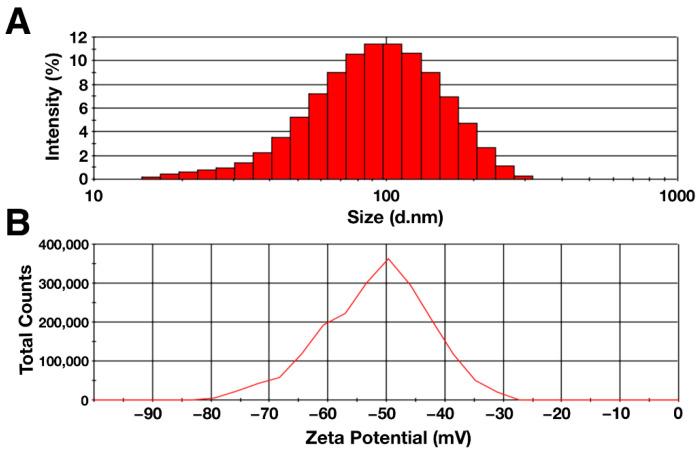 https://cdn.ncbi.nlm.nih.gov/pmc/blobs/6205/8779295/98cedb78d6c1/polymers-14-00344-g002.jpg