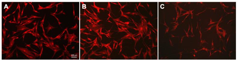 https://cdn.ncbi.nlm.nih.gov/pmc/blobs/6205/8779295/bca4b33d915d/polymers-14-00344-g005.jpg