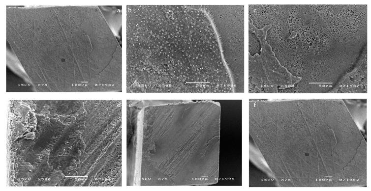 https://cdn.ncbi.nlm.nih.gov/pmc/blobs/6206/8541316/df0876c41f6d/materials-14-06200-g004.jpg