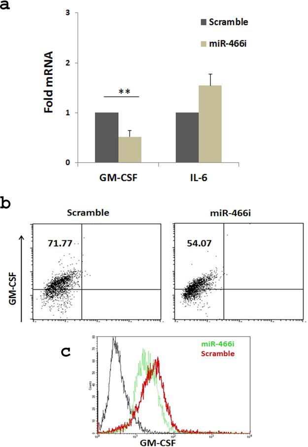 https://cdn.ncbi.nlm.nih.gov/pmc/blobs/6207/5722853/1063b5ec330c/41598_2017_17371_Fig6_HTML.jpg