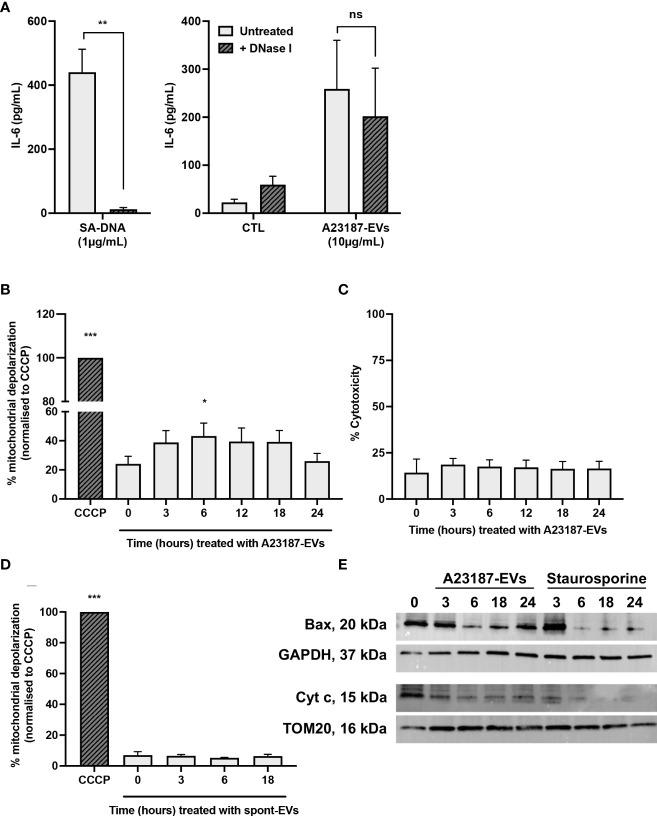 https://cdn.ncbi.nlm.nih.gov/pmc/blobs/6207/9374307/dab4adb0c533/fimmu-13-949451-g006.jpg