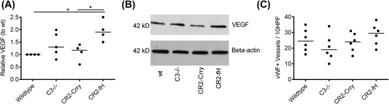 https://cdn.ncbi.nlm.nih.gov/pmc/blobs/6209/4696299/449a4a37ad7d/12974_2015_464_Fig8_HTML.jpg