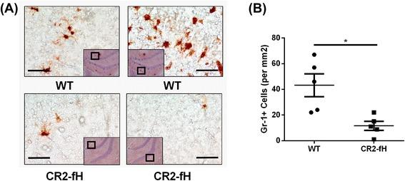 https://cdn.ncbi.nlm.nih.gov/pmc/blobs/6209/4696299/4803201ac0d7/12974_2015_464_Fig10_HTML.jpg