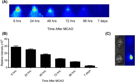 https://cdn.ncbi.nlm.nih.gov/pmc/blobs/6209/4696299/a1241c5e5054/12974_2015_464_Fig11_HTML.jpg