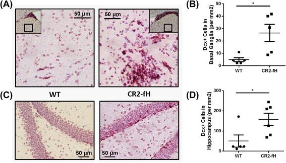https://cdn.ncbi.nlm.nih.gov/pmc/blobs/6209/4696299/ee986f9f090b/12974_2015_464_Fig5_HTML.jpg