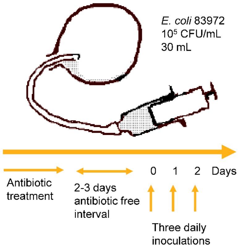 https://cdn.ncbi.nlm.nih.gov/pmc/blobs/6209/5039432/b236deb18374/pathogens-05-00052-g001.jpg