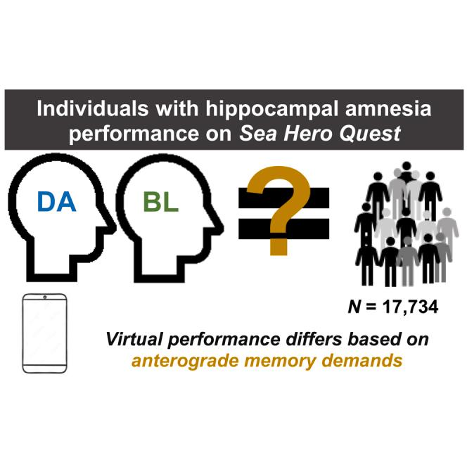 https://cdn.ncbi.nlm.nih.gov/pmc/blobs/620b/11214368/dde241ac5fdf/fx1.jpg