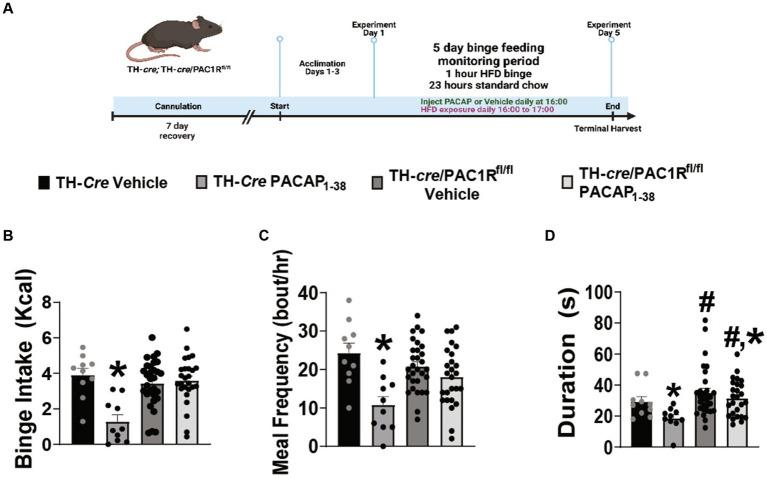 https://cdn.ncbi.nlm.nih.gov/pmc/blobs/620b/11371718/1d20c45ea0d3/fnut-11-1437526-g003.jpg