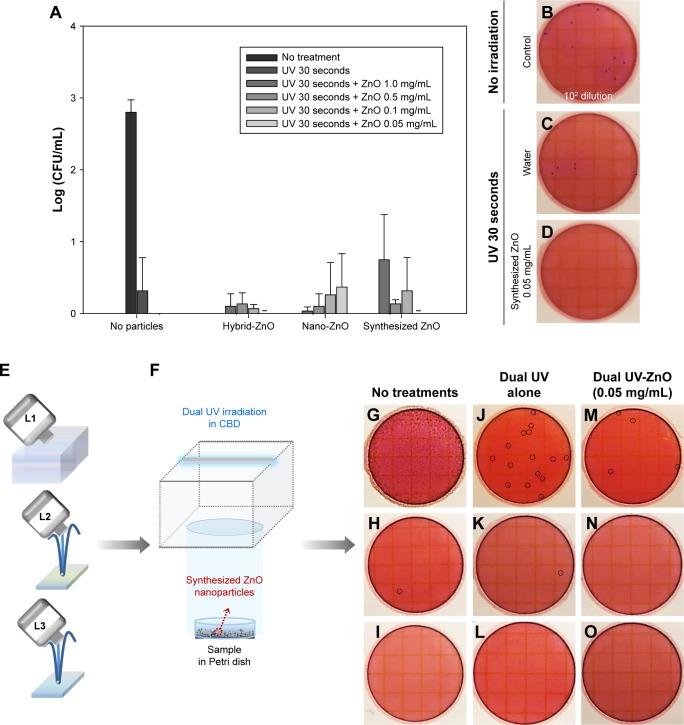 https://cdn.ncbi.nlm.nih.gov/pmc/blobs/620d/6413819/0d7005ed0fe5/ijn-14-1737Fig5.jpg