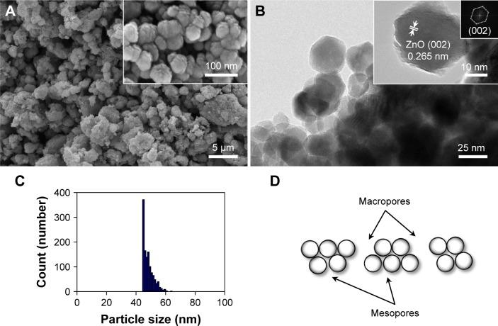https://cdn.ncbi.nlm.nih.gov/pmc/blobs/620d/6413819/eafb9abb0e53/ijn-14-1737Fig1.jpg