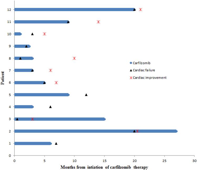 https://cdn.ncbi.nlm.nih.gov/pmc/blobs/620e/5802500/4b03481ce85d/41408_2017_26_Fig1_HTML.jpg
