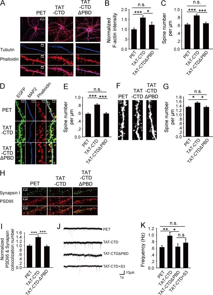 https://cdn.ncbi.nlm.nih.gov/pmc/blobs/620f/4754719/e794c8253881/JCB_201509023_Fig3.jpg