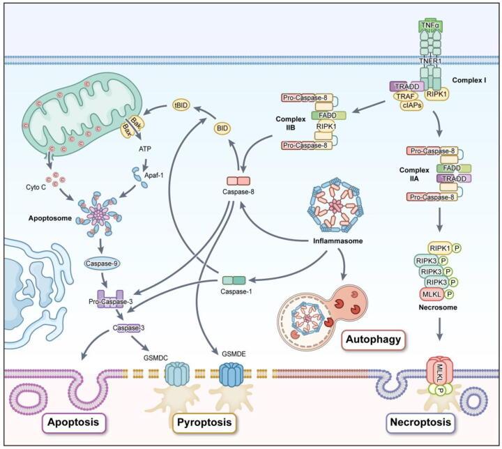 https://cdn.ncbi.nlm.nih.gov/pmc/blobs/6210/12126718/1b77234bccb5/gr8.jpg