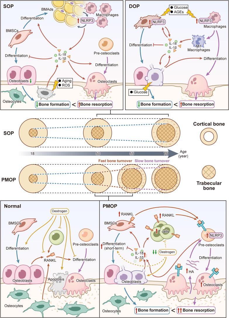 https://cdn.ncbi.nlm.nih.gov/pmc/blobs/6210/12126718/937c90abd78d/gr5.jpg