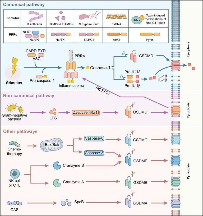 https://cdn.ncbi.nlm.nih.gov/pmc/blobs/6210/12126718/aa6c40164529/gr2.jpg