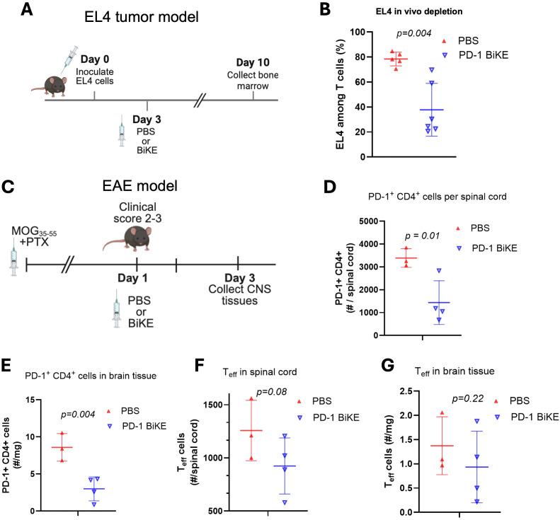 https://cdn.ncbi.nlm.nih.gov/pmc/blobs/6210/12380559/46d92b7717b3/fimmu-16-1644903-g004.jpg
