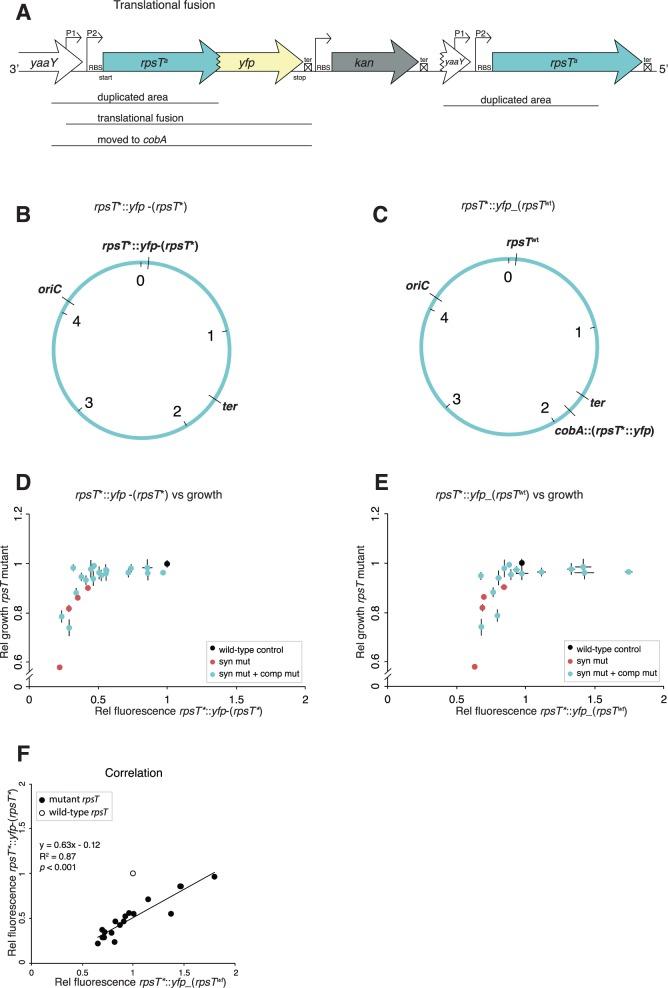https://cdn.ncbi.nlm.nih.gov/pmc/blobs/6210/4868123/615bb1db1f97/msw028f5p.jpg
