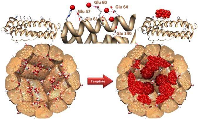 https://cdn.ncbi.nlm.nih.gov/pmc/blobs/6213/6687787/3ca02fd6e9c6/41598_2019_47661_Fig1_HTML.jpg