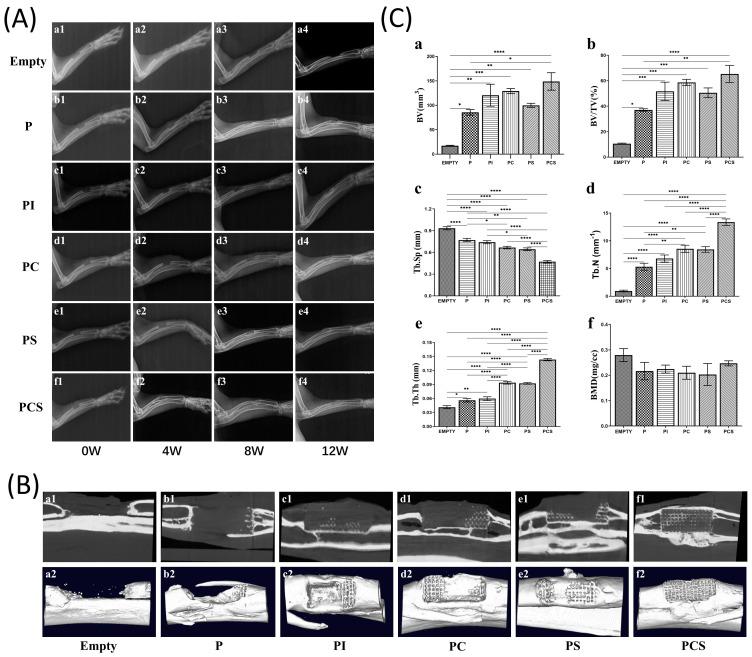 https://cdn.ncbi.nlm.nih.gov/pmc/blobs/6218/10526104/477854bdf569/bioengineering-10-01019-g004.jpg