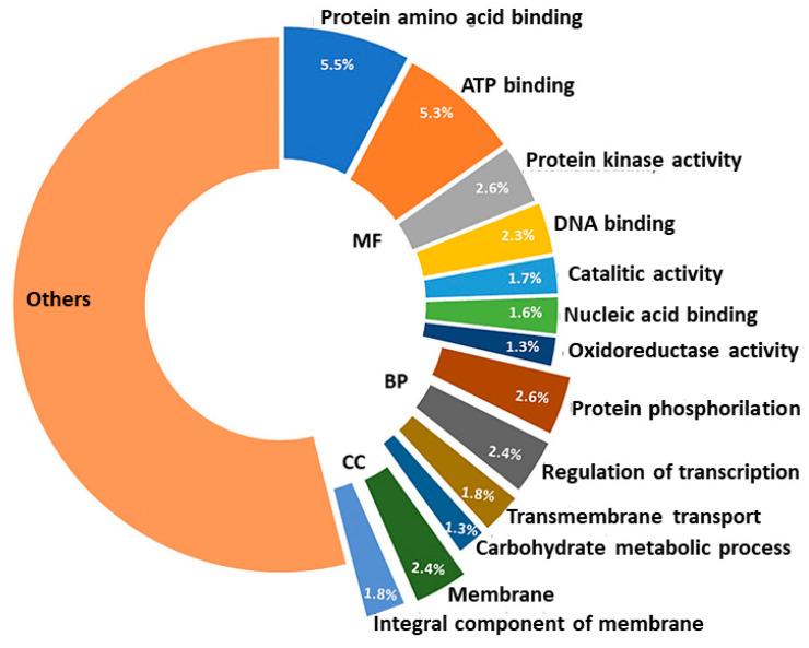 https://cdn.ncbi.nlm.nih.gov/pmc/blobs/621b/8949970/dac8cc571754/ijms-23-03126-g005.jpg