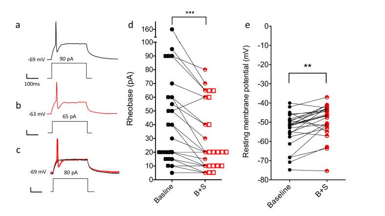 https://cdn.ncbi.nlm.nih.gov/pmc/blobs/621c/8245130/5da1c6625baa/elife-59751-fig7.jpg